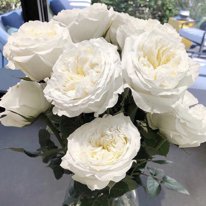 Майра Вайт  (Mayra’s White) в Воронеже