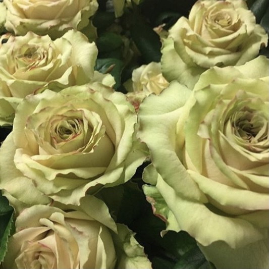 Гипноз в Воронеже