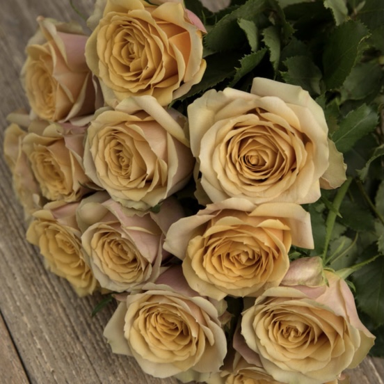 Голден Мустард (Golden Mustard) в Воронеже